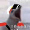 Atian阿甜🕊️头像