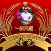 青元摄影头像