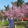 山玲头像