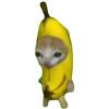 猫meme的一天头像
