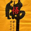 不悔并非无情头像