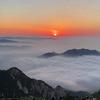 静水禅心头像