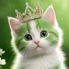 👑🐱影猫猫头像