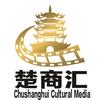 楚天记录头像