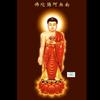 南無阿彌陀佛 杨东头像