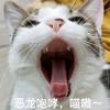 聪明勇敢有力气🌞头像