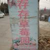 存存草莓园头像