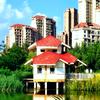 吾 50后头像