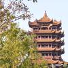 街拍武汉头像