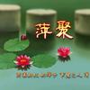 萍聚头像