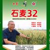 优绿优合作社老张头像