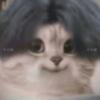 让中分猫说会儿头像