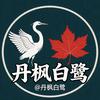丹枫白鹭头像