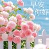 婉清头像