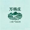 三峡静月头像