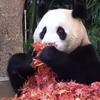 可口可乐冰头像