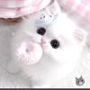 沉默头像