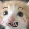 jojo我爱玩替身使者。头像