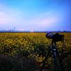 悠然视界头像