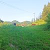 万龙汇生态农场（小王）头像