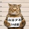 黑卤蛋头像