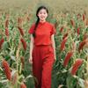老李家头像