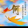 荷叶头像