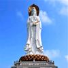 📿传慈🪷（不闲聊）头像