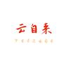 云自来头像