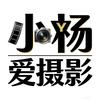 爱摄影的小杨头像