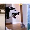 男人本色/1314  不要连赞头像
