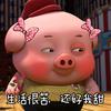 爆笑的丽莎头像