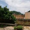 yangXⅰanlu头像