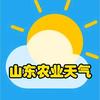 山东农业天气头像