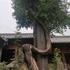 Out慢头像