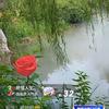 酒苹果头像