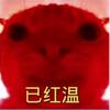 随心金金头像