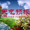 《》静思未来《》头像