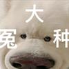 大冤种富哥看厦门楼市头像
