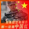 西伯利亚孤狼阿立亚普洛旺斯·亚力山大大帝头像