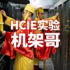 HCIE实验机架哥头像