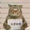 萍水相逢№相逢何必曾相识头像