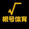 根号体育头像