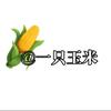 一只玉米头像