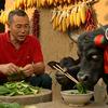 陕北李哥头像