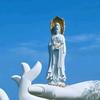 清风伴平和头像