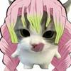 小猫蜜璃头像
