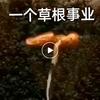 郭新宅，事业文化垂直更进~头像