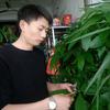 邵阳市双清区如意花卉园林(小肖)头像