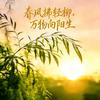 春风拂轻柳头像